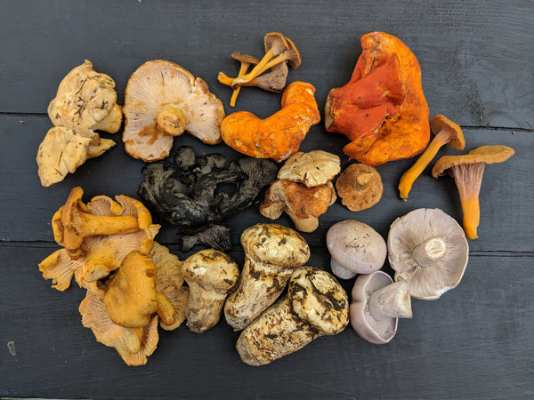 Mixed Wild Mushrooms 