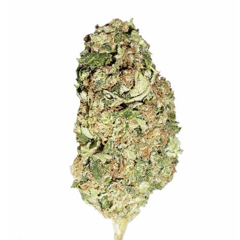 Cannabis Seeds for Sale California