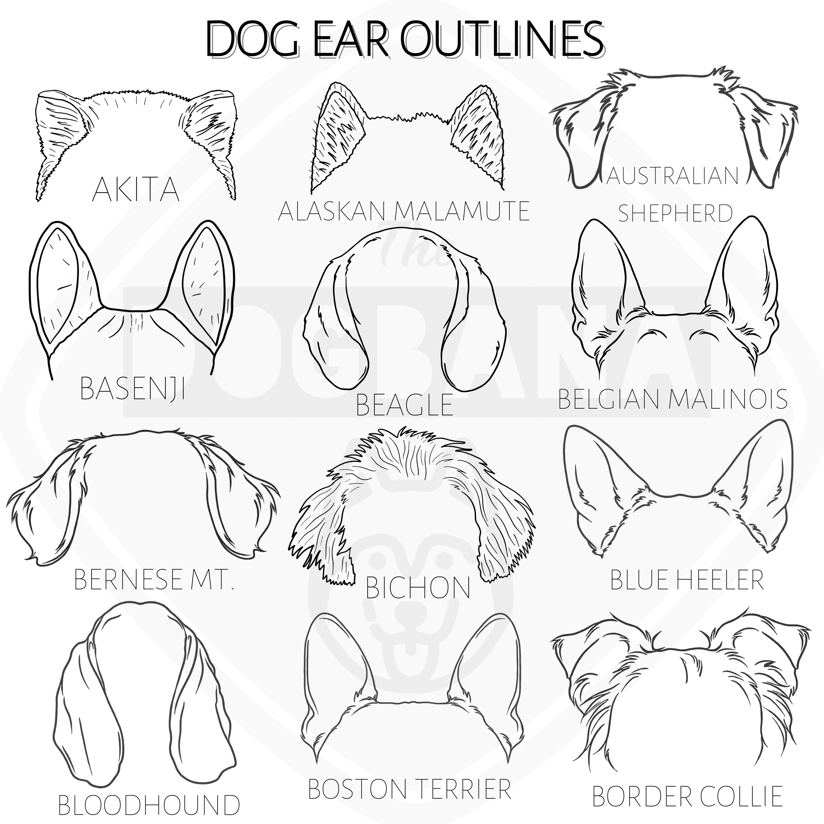 Dog and Cat Ears Outline Shirt – The Dogbana