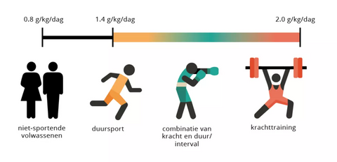 Waarom zijn eiwitten belangrijk bij een gezond voedingspatroon?