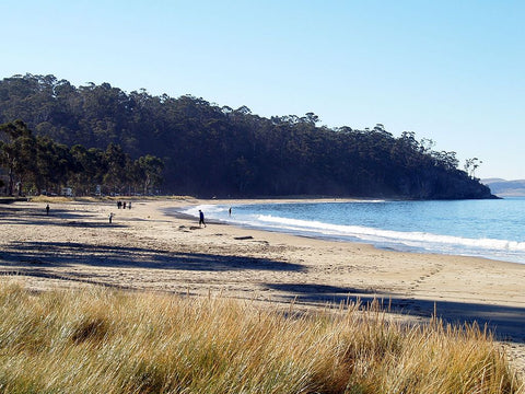 Beach day in Tasmania
