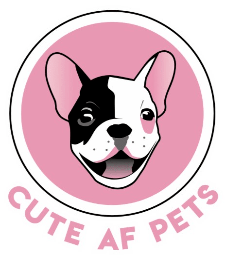 activering Heup favoriete Cute AF Pets - Online Pet Store for Dog Collars, Treats Shampoo & more