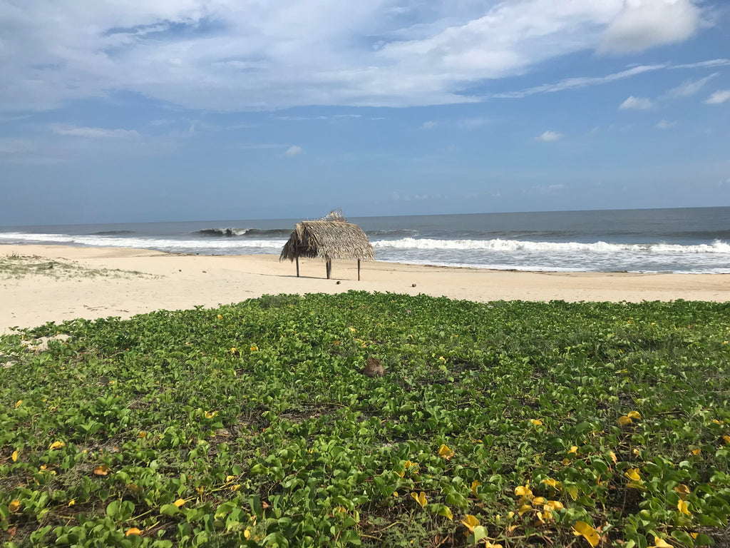 Plage à Puerto Escondifo