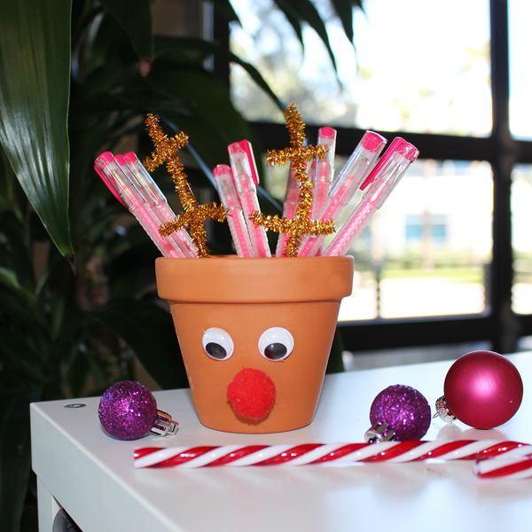 Check out this step by step Christmas DIY activity. Our reindeer pen holders are the perfect craft to hold all of your pencils, pens, and highlighters. An easy and fun activity for kids this holiday season. 