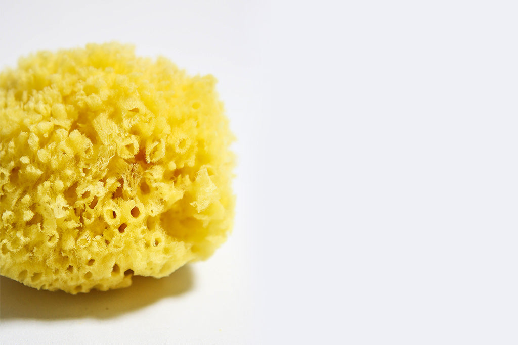 Wool Bath Sea Sponge – BROOK FARM GENERAL STORE