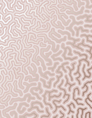 Atoll Flash, Maro