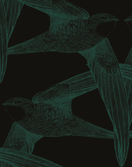 Black Birds, Chlorophyll
