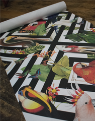 Geometric Aviary