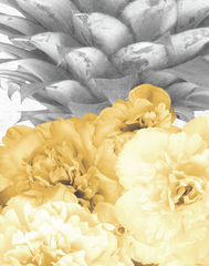 Ludic, Yellow