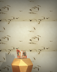 Portuguese Seagulls, Sand