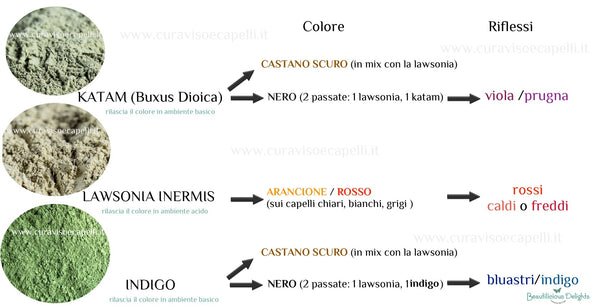 KATAM BUXUS DIOICA INDIGO CAPELLI NERI BLUE NERI VIOLA