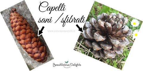 struttura_del_capello_capelli_sani_sfibrati