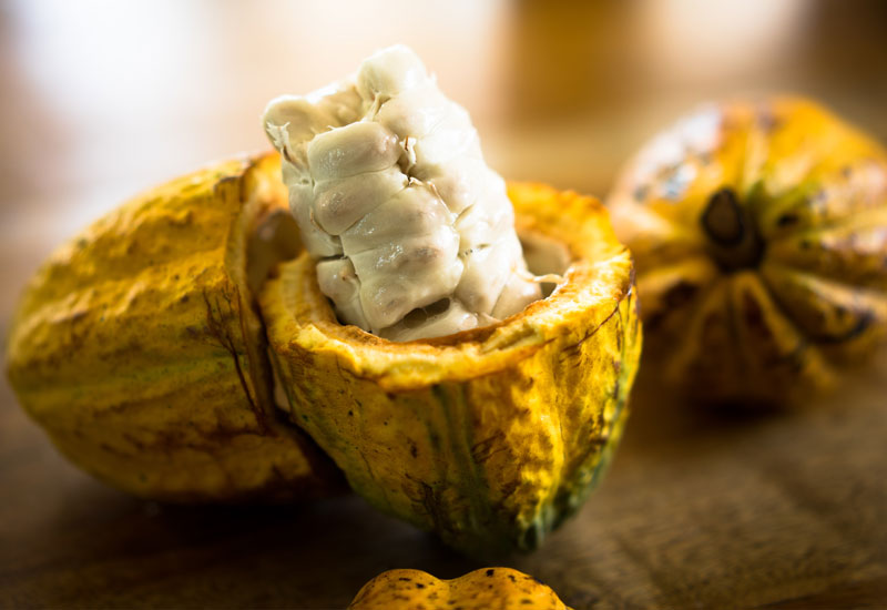 Aduna Super-Cacao Opened Pod