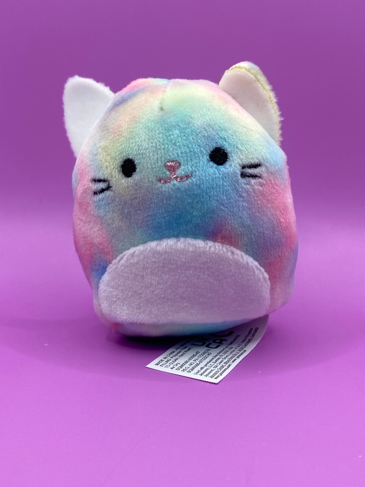 rainbow cat squishmallow name