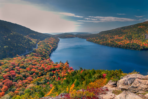 Aerial view of forest with autumn color leaves in Acadia National Park of Maine, USA