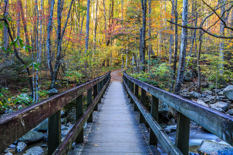 Bridge over river in Great Smoky Mountains during fall