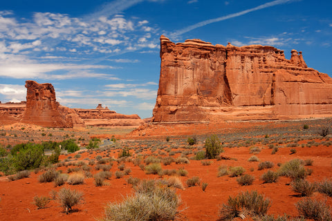 Desert landscape in Arches National Park