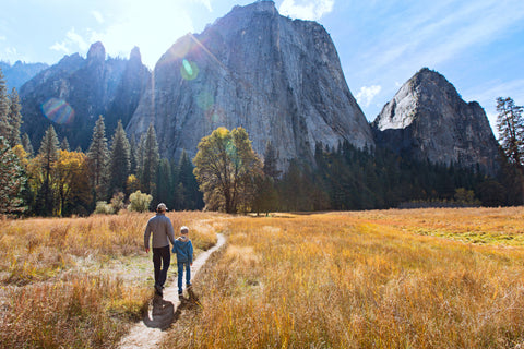 Father and son walking through valley towards mountains in Yosemite National Park