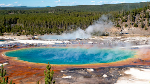 Grand Prismatic Hot Spring in Yellowstone National Park