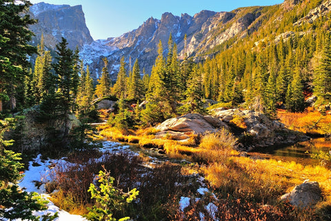 Mountains behind colorful forest during fall in Rocky Mountain National Park
