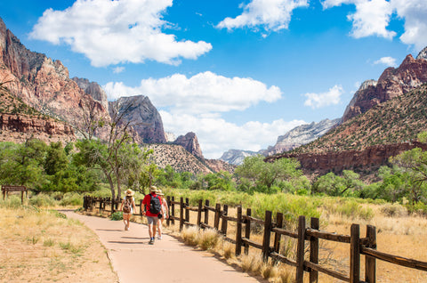 People hiking along trail towards Red Mountains landscape in Zion National Park