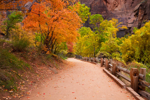 Riverside hiking trail path towards the Narrows in Zion Canyon National Park Utah