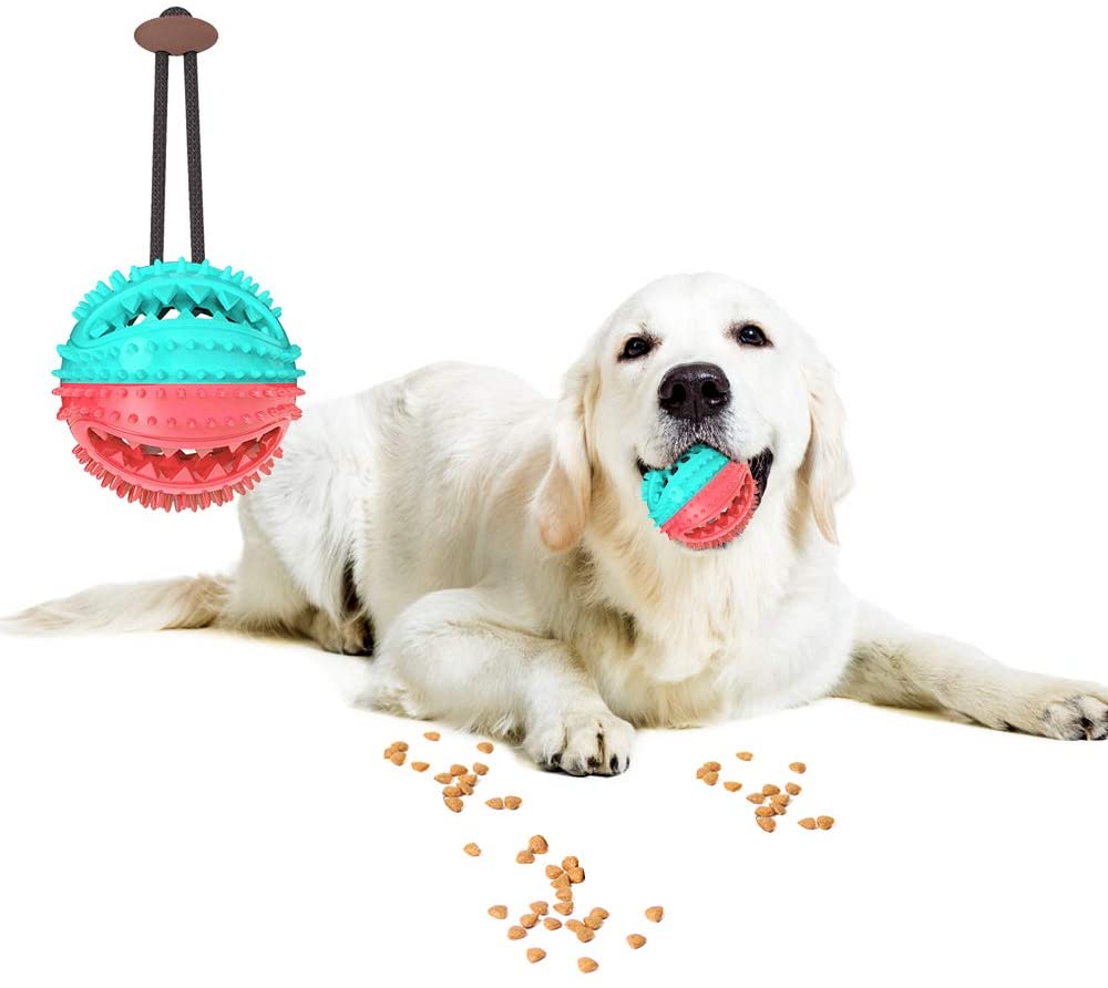 dog teeth cleaning ball