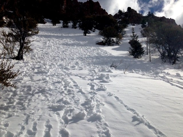 Wet slides backcountry skiing