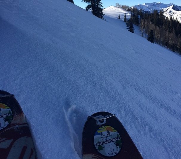 skin track free the powder