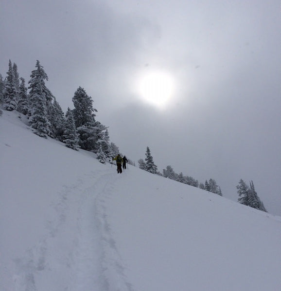 Skinning up Beartrap Canyons Backcountry