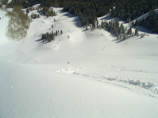 West Monitor Utah skiing