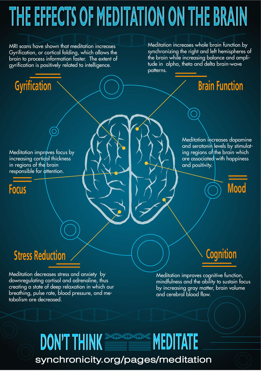 free-infographic-effects-of-meditation-on-the-brain-synchronicity