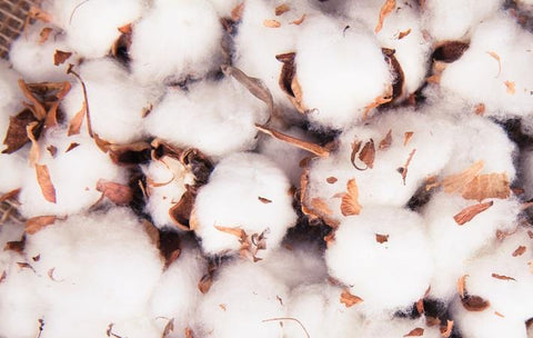 panic for organic cotton