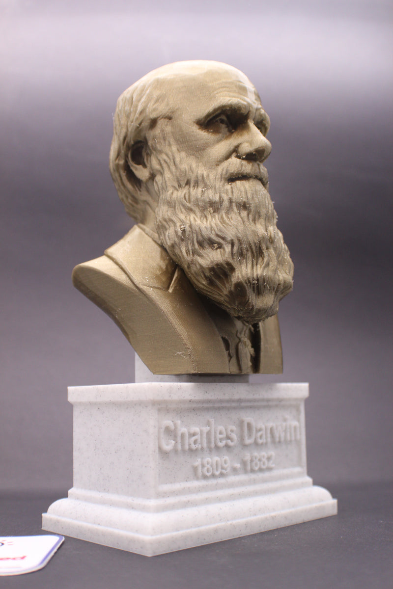 Charles Darwin 12 inch 3D Printed Bust Famous Naturalist Art FREE SHIPPING 