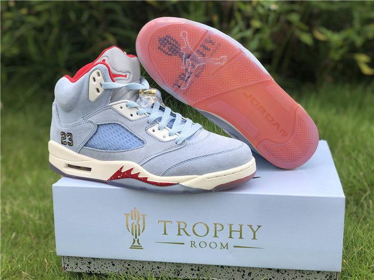 air jordan v trophy room