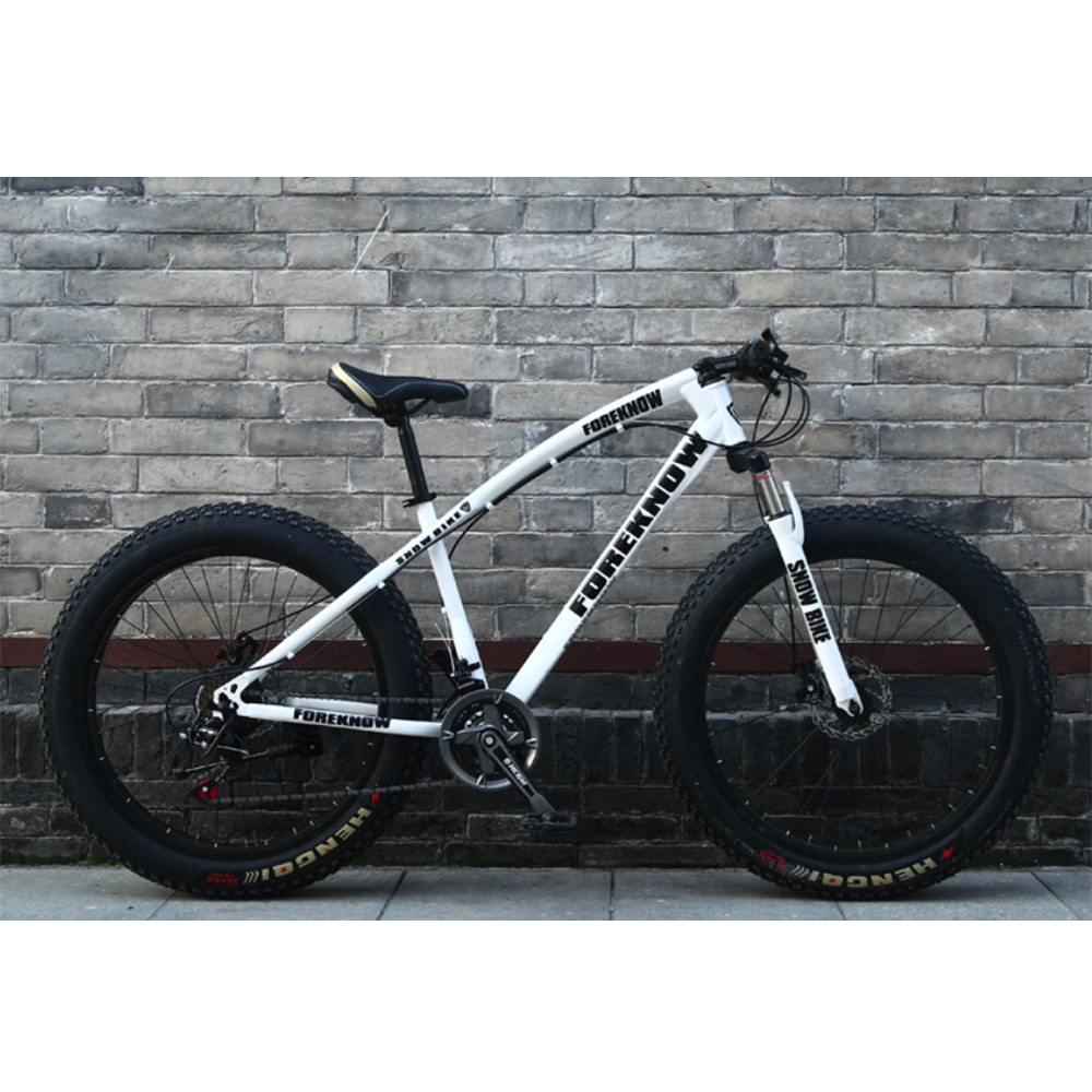 aluminum frame fat tire bike