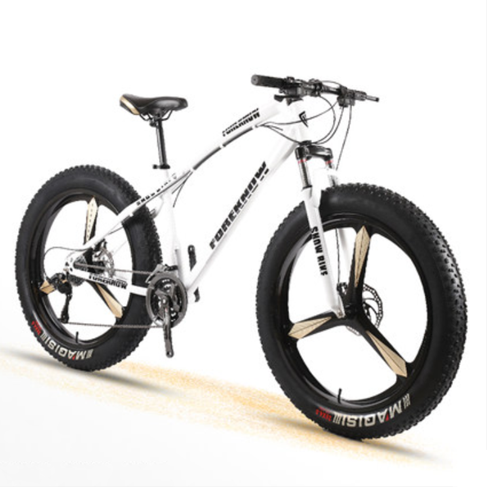 aluminum frame fat tire bike