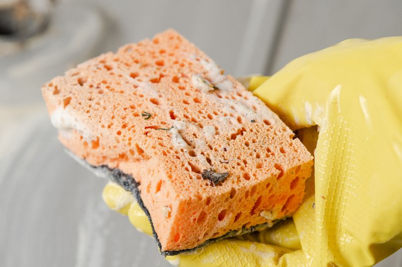 Grim reason you should never wash dishes with a sponge according to scientist