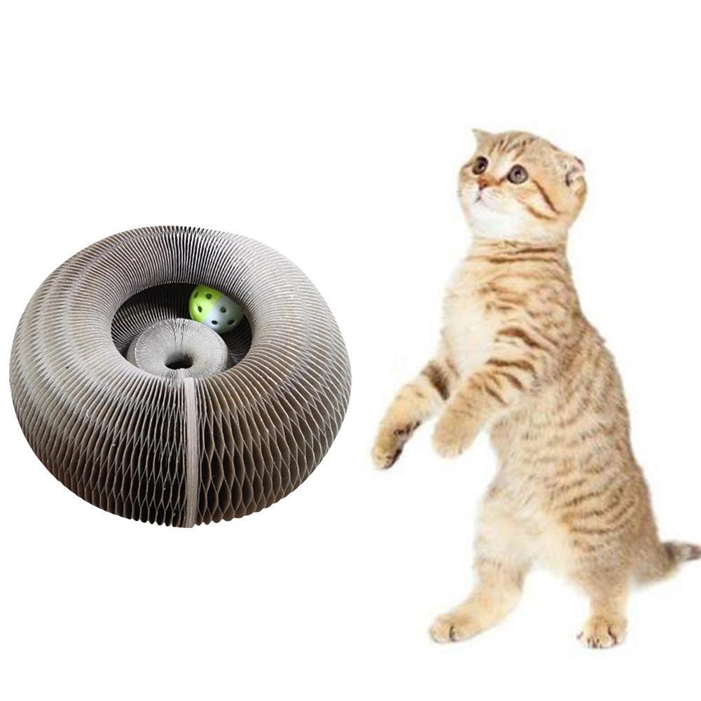 round cat toy with ball