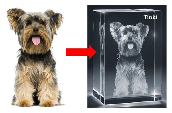 Dog Tower 3D Photo Crystal