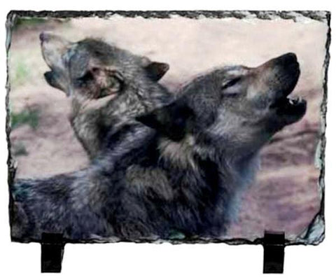 Two Wolves Photo Slate