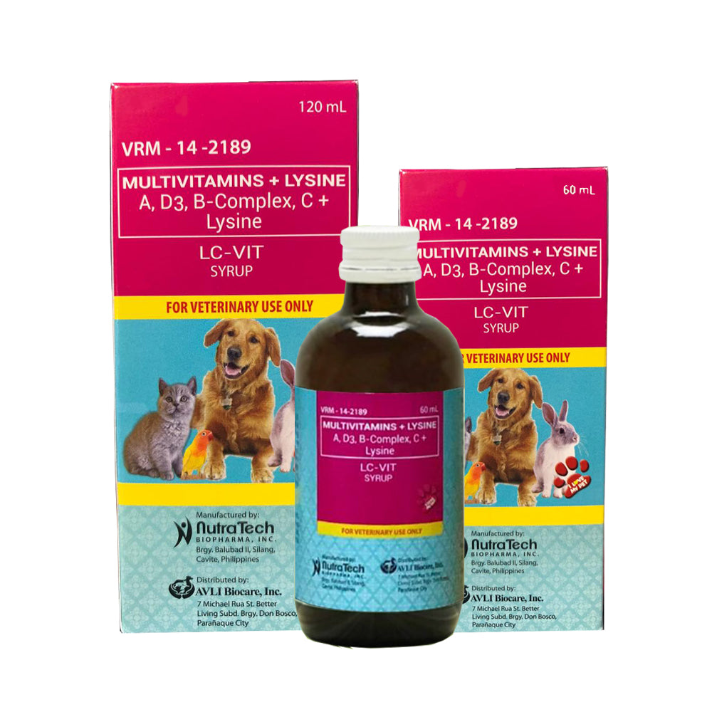 are b vitamins good for dogs