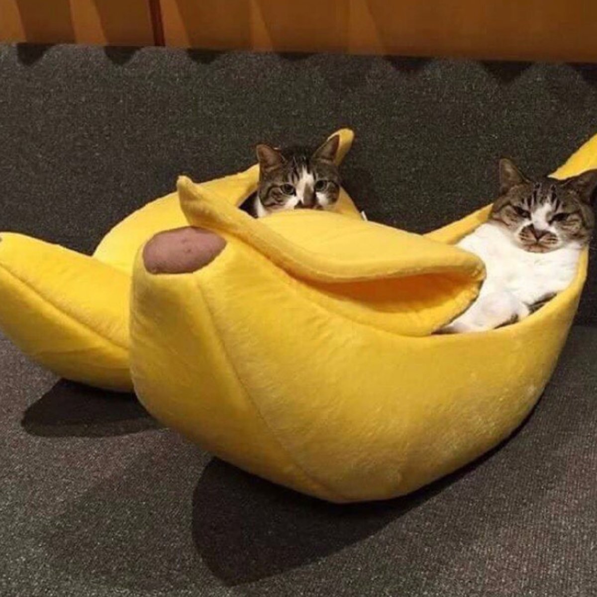 Fully Covered Banana Cat Bed Higooga