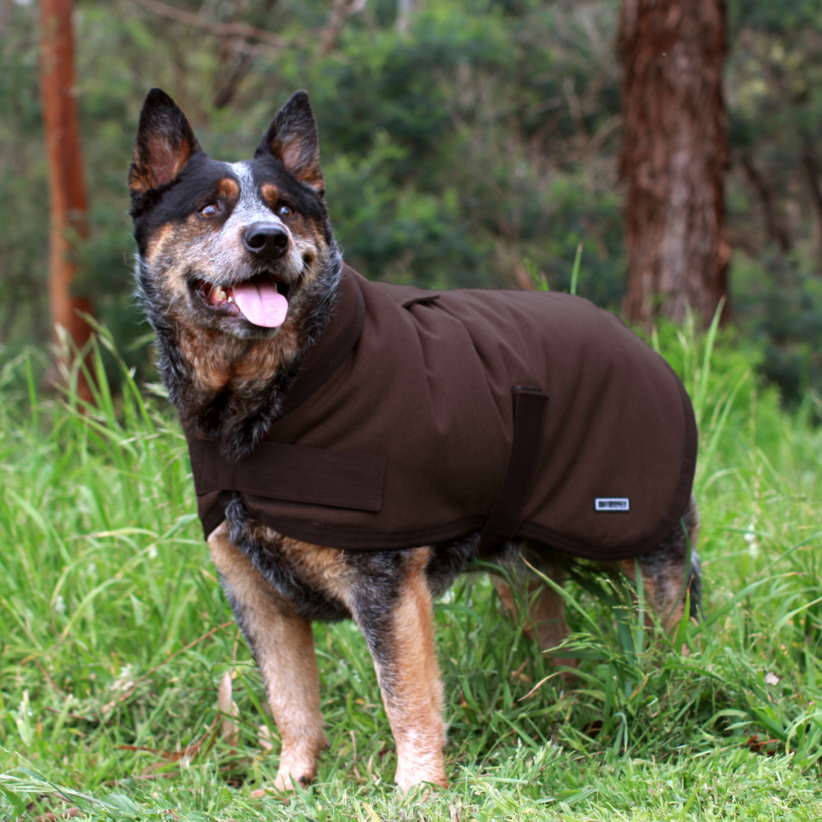 ruff rugged outdoor dog wear