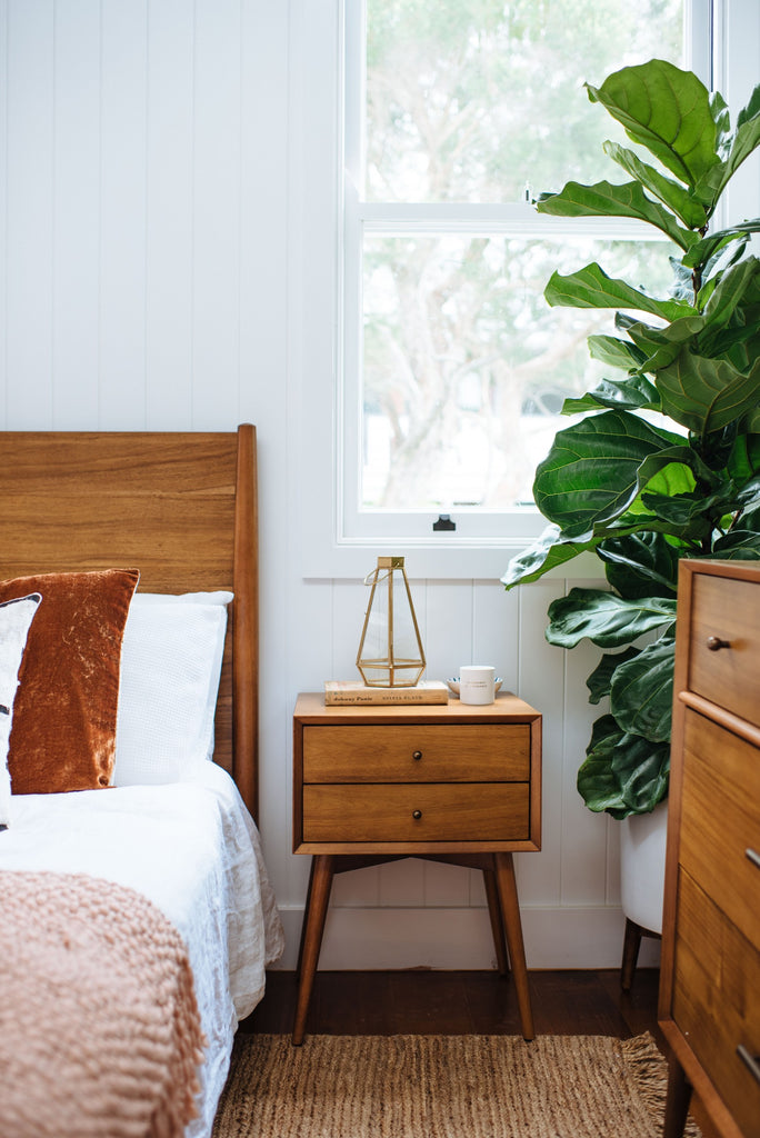 plants, bedroom, home decor