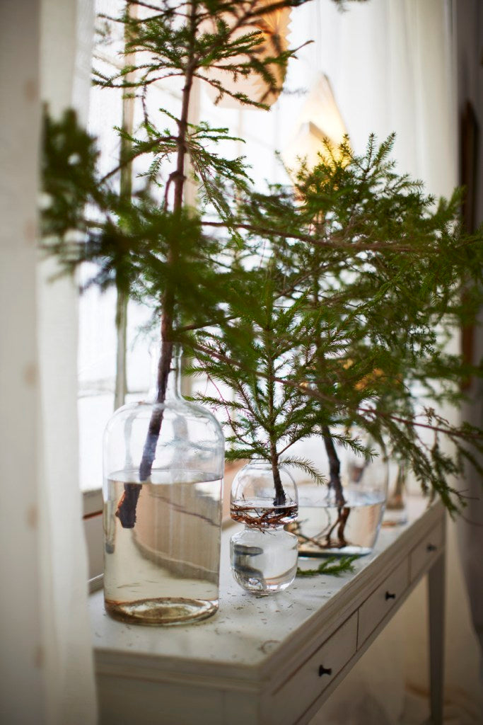 Barn & Willow: 5 Favorites: No-Cost Holiday Decor Ideas