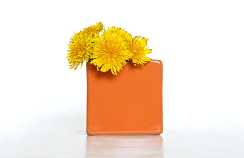 modern orange flower pot