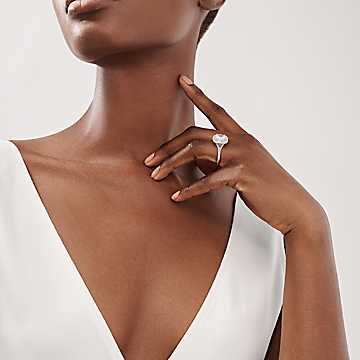 Vermelden Geloofsbelijdenis Met andere woorden Tiffany Soleste Cushion-cut Double Halo Engagement Ring with a Diamond –  Instoreexpert