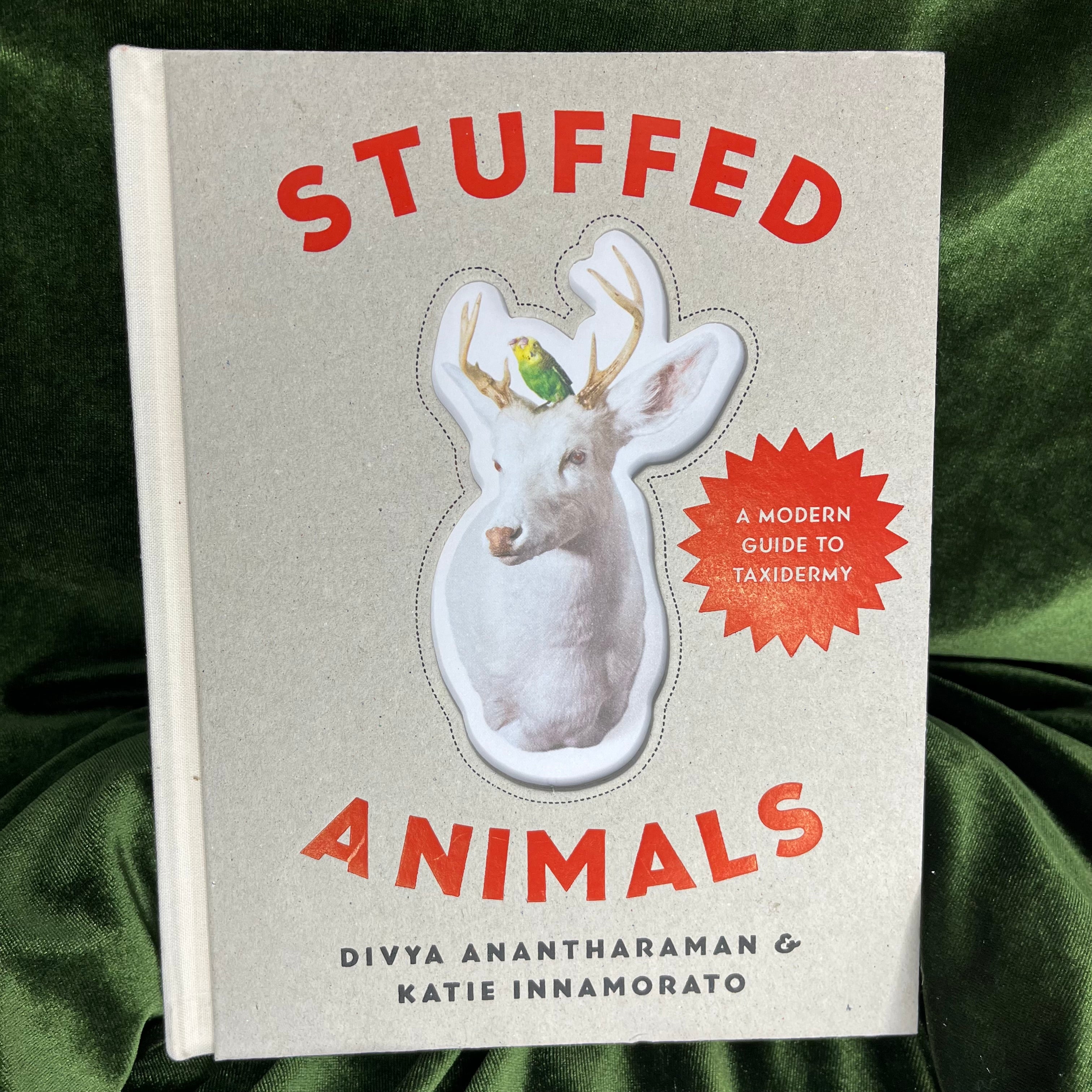 Stuffed Animals: A Modern Guide to Taxidermy by Divya Anantharaman and