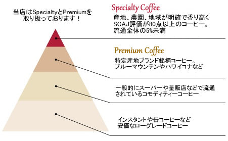スペシャルティコーヒーピラミッド